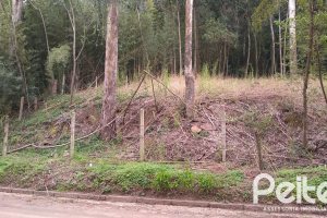 Terreno à venda com 904m², no bairro Ponta Grossa em Porto Alegre