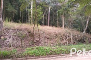 Terreno à venda com 904m², no bairro Ponta Grossa em Porto Alegre