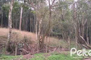 Terreno à venda com 904m², no bairro Ponta Grossa em Porto Alegre