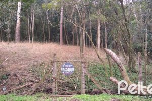 Terreno à venda com 904m², no bairro Ponta Grossa em Porto Alegre