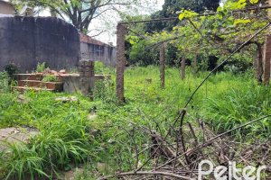 Terreno à venda com 572m², no bairro Ipanema em Porto Alegre