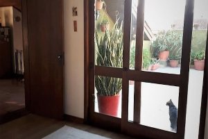 Cobertura à venda com 137m², 3 dormitórios, 2 vagas, no bairro Tristeza em Porto Alegre