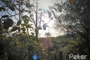 Terreno à venda com 3750m², no bairro Vila Nova em Porto Alegre