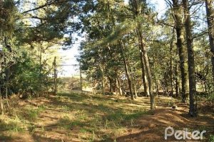 Terreno à venda com 3750m², no bairro Vila Nova em Porto Alegre