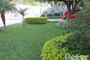 Casa à venda com 333m², 3 dormitórios, 1 suíte, 3 vagas, no bairro Ipanema em Porto Alegre