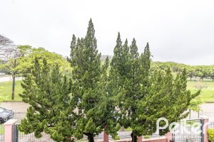 Casa em Condomínio à venda com 210m², 4 dormitórios, 2 suítes, 2 vagas, no bairro Vila Assunção em Porto Alegre