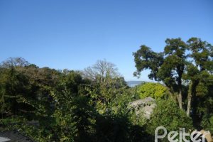 Casa à venda com 495m², 5 dormitórios, 1 suíte, 3 vagas, no bairro Vila Conceição em Porto Alegre