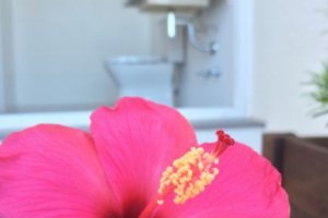 Casa em Condomínio à venda com 258m², 2 dormitórios, 2 suítes, 3 vagas, no bairro Hípica em Porto Alegre