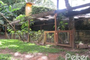 Casa à venda com 600m², 7 dormitórios, 3 suítes, 3 vagas, no bairro Espírito Santo em Porto Alegre