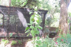 Casa à venda com 600m², 7 dormitórios, 3 suítes, 3 vagas, no bairro Espírito Santo em Porto Alegre