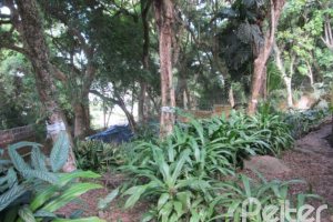 Casa à venda com 600m², 7 dormitórios, 3 suítes, 3 vagas, no bairro Espírito Santo em Porto Alegre