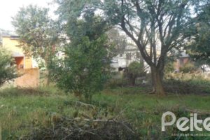 Terreno à venda, no bairro Cristal em Porto Alegre