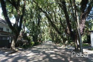 Casa em Condomínio à venda com 230m², 3 dormitórios, 1 suíte, 2 vagas, no bairro Jardim Isabel em Porto Alegre