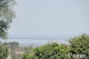 Casa em Condomínio à venda com 288m², 4 dormitórios, 2 suítes, 2 vagas, no bairro Knorr em Porto Alegre