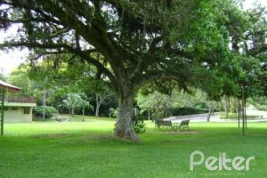 Casa em Condomínio à venda com 288m², 4 dormitórios, 2 suítes, 2 vagas, no bairro Knorr em Porto Alegre