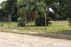 Terreno à venda com 510m², no bairro Ipanema em Porto Alegre