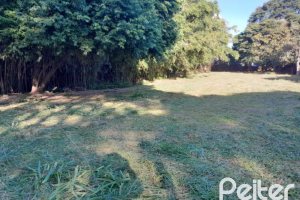 Terreno à venda com 1000m², no bairro Cristal em Porto Alegre