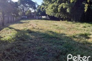 Terreno à venda com 1000m², no bairro Cristal em Porto Alegre