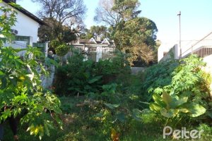 Terreno à venda, no bairro Sétimo Céu em Porto Alegre