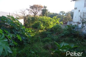 Terreno à venda, no bairro Sétimo Céu em Porto Alegre