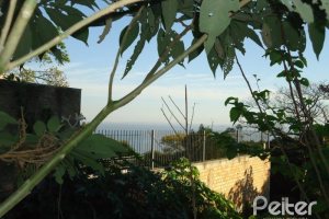 Terreno à venda, no bairro Sétimo Céu em Porto Alegre