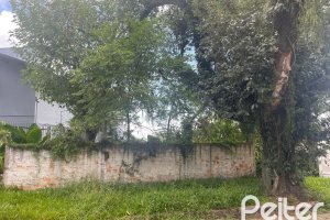 Terreno à venda, no bairro Vila Conceição em Porto Alegre
