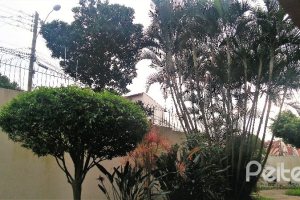 Apartamento à venda com 68m², 2 dormitórios, 1 vaga, no bairro Cristal em Porto Alegre