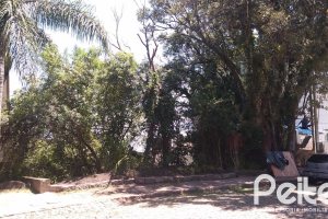Terreno à venda com 505m², no bairro Sétimo Céu em Porto Alegre
