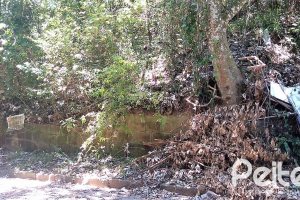 Terreno à venda com 505m², no bairro Sétimo Céu em Porto Alegre