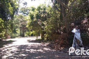 Terreno à venda com 505m², no bairro Sétimo Céu em Porto Alegre