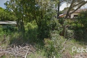 Terreno à venda com 19784m², no bairro Vila Nova em Porto Alegre