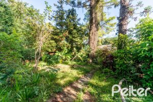 Casa à venda com 350m², 4 dormitórios, 4 suítes, 4 vagas, no bairro Tristeza em Porto Alegre