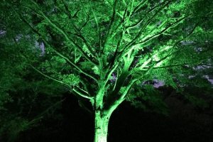 Terreno à venda com 3313m², no bairro Vila Nova em Porto Alegre