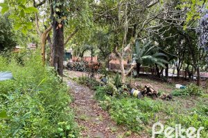 Terreno à venda com 2377m², no bairro Tristeza em Porto Alegre