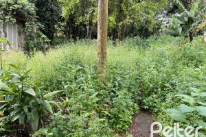 Terreno à venda com 2377m², no bairro Tristeza em Porto Alegre