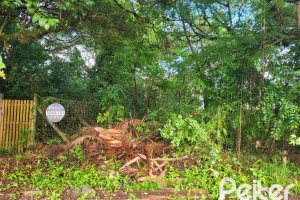Terreno à venda com 300m², no bairro Ipanema em Porto Alegre