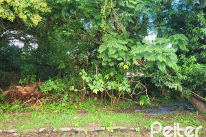 Terreno à venda com 300m², no bairro Ipanema em Porto Alegre