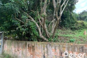 Terreno à venda com 2860m², no bairro Jardim Isabel em Porto Alegre