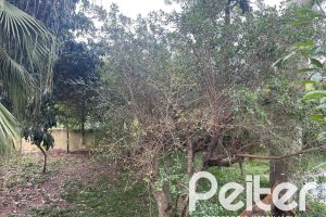 Casa à venda com 397m², 4 dormitórios, 1 suíte, 4 vagas, no bairro Sétimo Céu em Porto Alegre