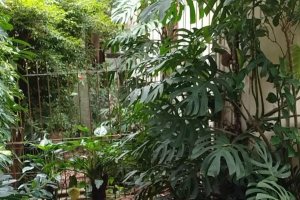 Terreno à venda com 715m², no bairro Tristeza em Porto Alegre