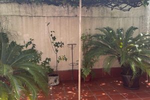 Casa à venda com 361m², 3 dormitórios, 4 vagas, no bairro Cidade Baixa em Porto Alegre