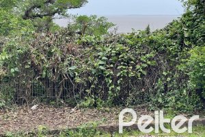 Terreno à venda com 2162m², no bairro Sétimo Céu em Porto Alegre