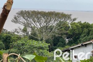 Terreno à venda com 2162m², no bairro Sétimo Céu em Porto Alegre