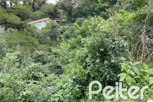Terreno à venda com 2162m², no bairro Sétimo Céu em Porto Alegre