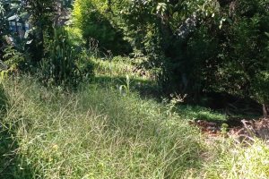 Terreno à venda com 1884m², no bairro Tristeza em Porto Alegre