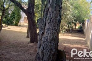 Terreno à venda com 1035m², no bairro Guaruja em Porto Alegre