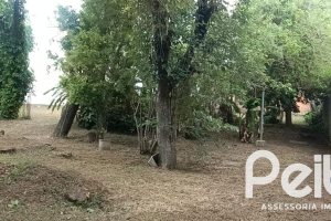 Terreno à venda com 588m², no bairro Guarujá em Porto Alegre