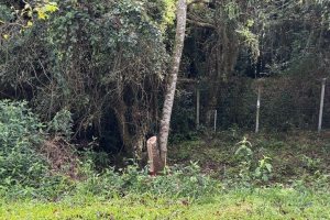 Terreno em condomínio à venda com 276m², no bairro Vila Nova em Porto Alegre