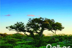 Terreno em condomínio à venda com 147m², no bairro Hípica em Porto Alegre