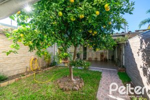 Casa à venda com 165m², 3 dormitórios, 1 suíte, 2 vagas, no bairro Ipanema em Porto Alegre